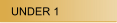 UNDER 1
